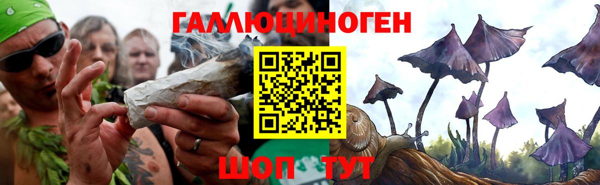 Галлюциногенные грибы Cubensis Тольятти
